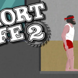 A Game Full of Challenges: Short Life 2