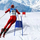 Slalom Ski Simulator: Agile Maneuvers